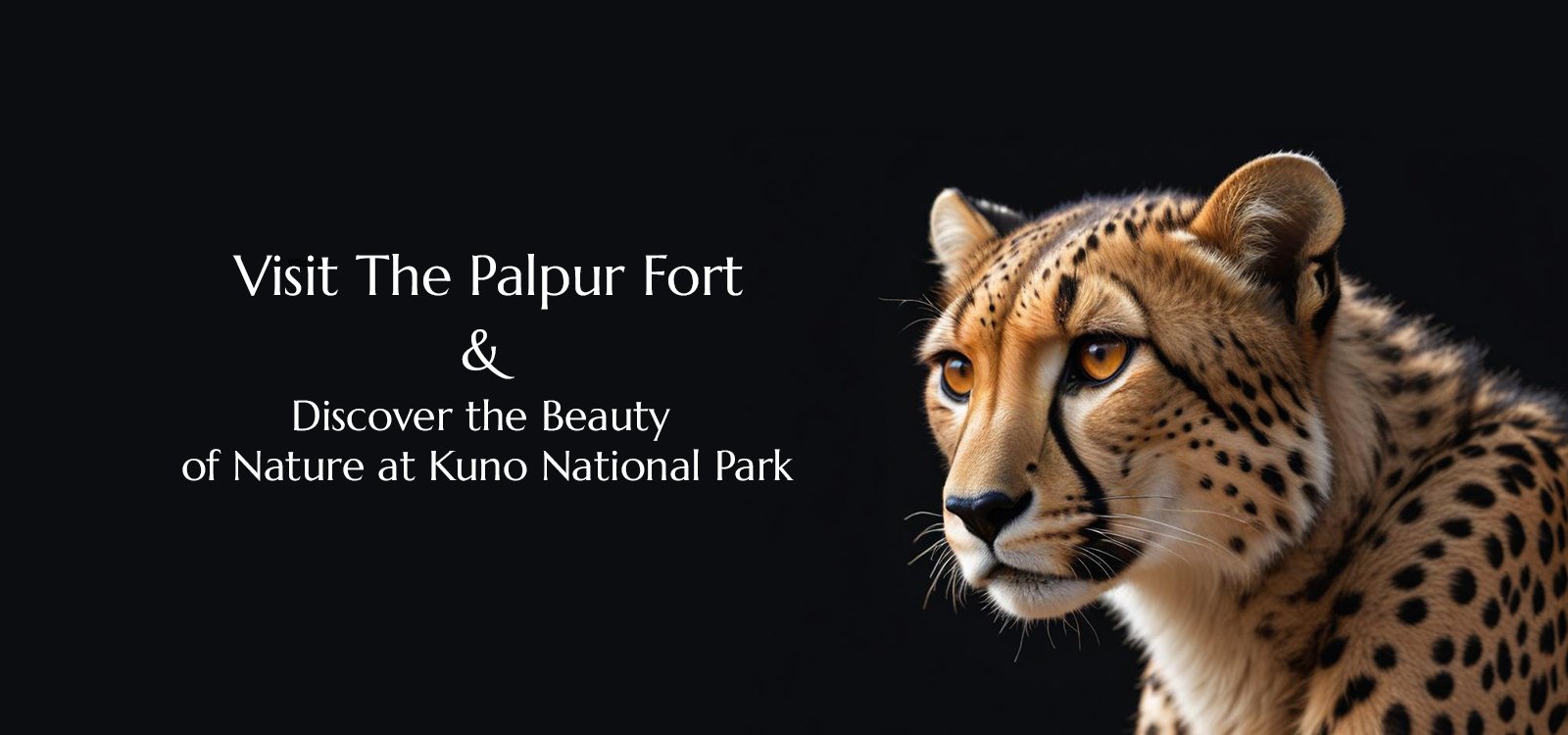 Best wildlife Resorts and Family Hotels in kuno national park