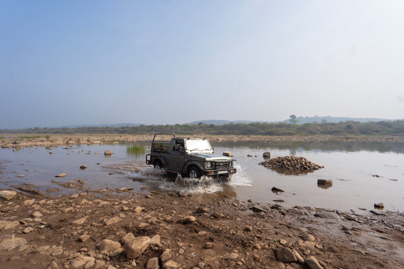 Kuno National Park Safari Reopening: What’s New This Season?